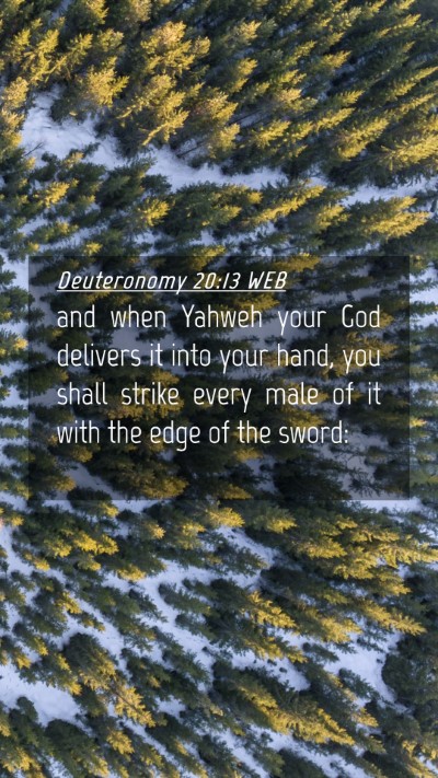 Picture 04 - Deuteronomy 20:13 WEB Mobile Phone Wallpaper - and when Yahweh your God delivers it into your - Mobile Bible Verse Wallpaper