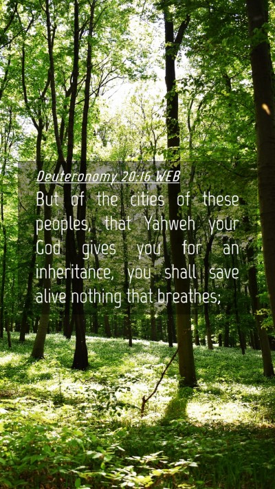 Picture 04 - Deuteronomy 20:16 WEB Mobile Phone Wallpaper - But of the cities of these peoples, that Yahweh - Mobile Bible Verse Wallpaper