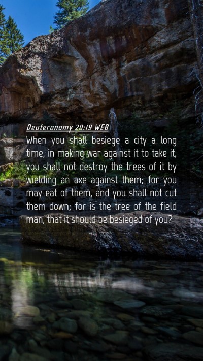 Picture 04 - Deuteronomy 20:19 WEB Mobile Phone Wallpaper - When you shall besiege a city a long time, in - Mobile Bible Verse Wallpaper