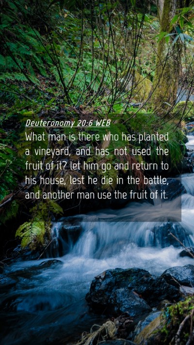 Picture 04 - Deuteronomy 20:6 WEB Mobile Phone Wallpaper - What man is there who has planted a vineyard, and - Mobile Bible Verse Wallpaper