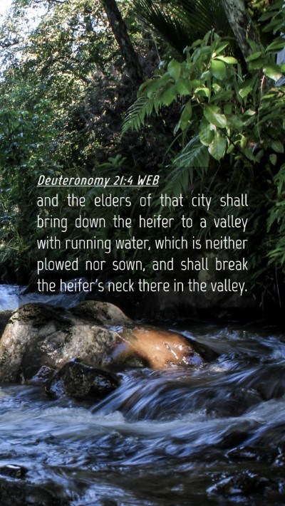Picture 04 - Deuteronomy 21:4 WEB Mobile Phone Wallpaper - and the elders of that city shall bring down the - Mobile Bible Verse Wallpaper