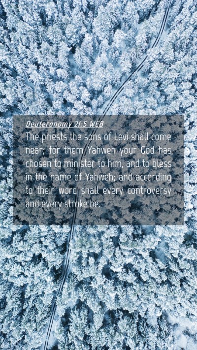 Picture 04 - Deuteronomy 21:5 WEB Mobile Phone Wallpaper - The priests the sons of Levi shall come near; for - Mobile Bible Verse Wallpaper
