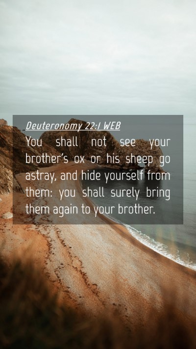 Picture 04 - Deuteronomy 22:1 WEB Mobile Phone Wallpaper - You shall not see your brother's ox or his sheep - Mobile Bible Verse Wallpaper