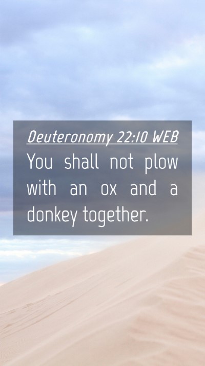 Picture 04 - Deuteronomy 22:10 WEB Mobile Phone Wallpaper - You shall not plow with an ox and a donkey - Mobile Bible Verse Wallpaper