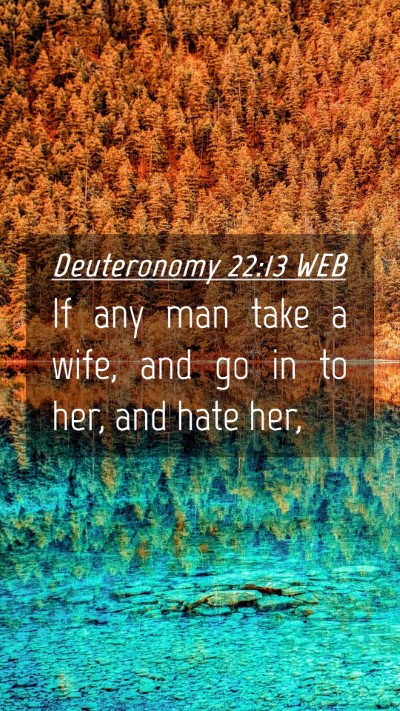 Picture 04 - Deuteronomy 22:13 WEB Mobile Phone Wallpaper - If any man take a wife, and go in to her, and - Mobile Bible Verse Wallpaper
