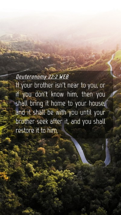 Picture 04 - Deuteronomy 22:2 WEB Mobile Phone Wallpaper - If your brother isn't near to you, or if you - Mobile Bible Verse Wallpaper