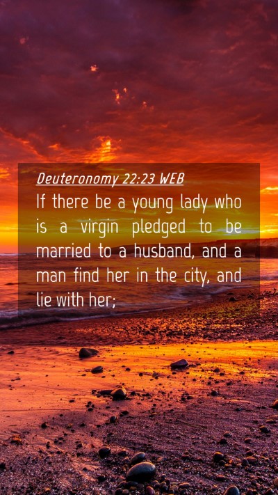 Picture 04 - Deuteronomy 22:23 WEB Mobile Phone Wallpaper - If there be a young lady who is a virgin pledged - Mobile Bible Verse Wallpaper