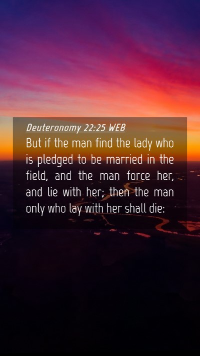 Picture 04 - Deuteronomy 22:25 WEB Mobile Phone Wallpaper - But if the man find the lady who is pledged to be - Mobile Bible Verse Wallpaper