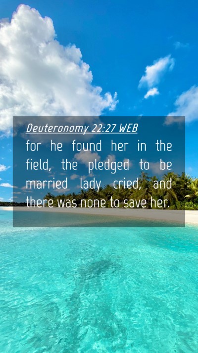 Picture 04 - Deuteronomy 22:27 WEB Mobile Phone Wallpaper - for he found her in the field, the pledged to be - Mobile Bible Verse Wallpaper