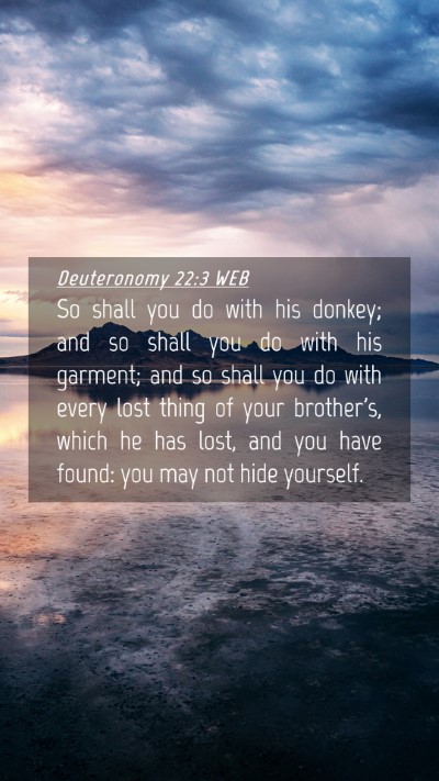 Picture 04 - Deuteronomy 22:3 WEB Mobile Phone Wallpaper - So shall you do with his donkey; and so shall you - Mobile Bible Verse Wallpaper