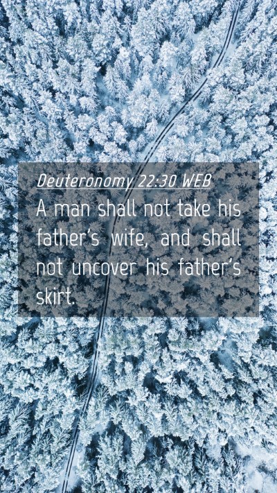 Picture 04 - Deuteronomy 22:30 WEB Mobile Phone Wallpaper - A man shall not take his father's wife, and shall - Mobile Bible Verse Wallpaper