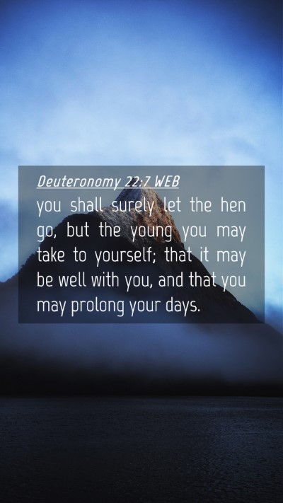 Picture 04 - Deuteronomy 22:7 WEB Mobile Phone Wallpaper - you shall surely let the hen go, but the young - Mobile Bible Verse Wallpaper
