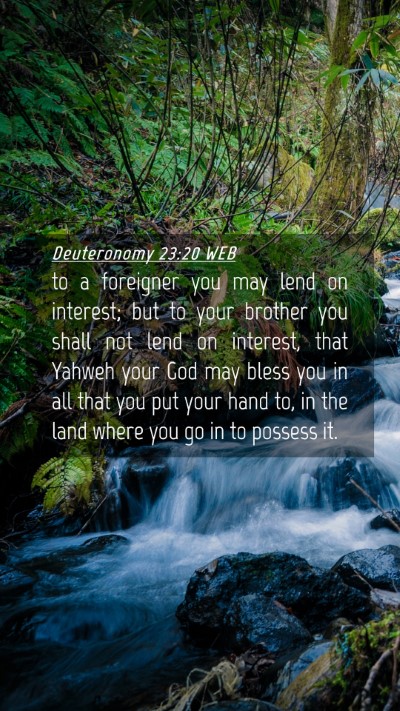 Picture 04 - Deuteronomy 23:20 WEB Mobile Phone Wallpaper - to a foreigner you may lend on interest; but to - Mobile Bible Verse Wallpaper