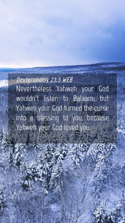 Picture 04 - Deuteronomy 23:5 WEB Mobile Phone Wallpaper - Nevertheless Yahweh your God wouldn't listen to - Mobile Bible Verse Wallpaper