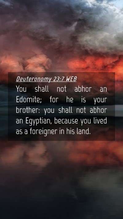 Picture 04 - Deuteronomy 23:7 WEB Mobile Phone Wallpaper - You shall not abhor an Edomite; for he is your - Mobile Bible Verse Wallpaper