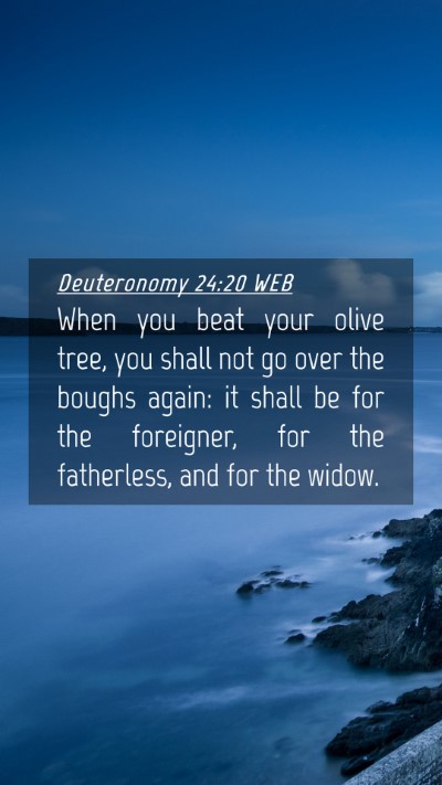 Picture 04 - Deuteronomy 24:20 WEB Mobile Phone Wallpaper - When you beat your olive tree, you shall not go - Mobile Bible Verse Wallpaper