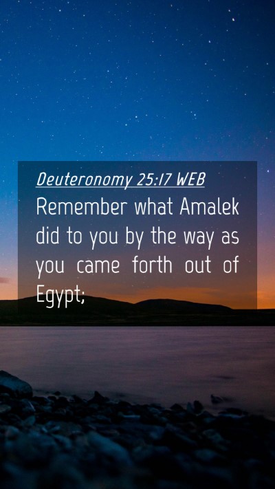 Picture 04 - Deuteronomy 25:17 WEB Mobile Phone Wallpaper - Remember what Amalek did to you by the way as you - Mobile Bible Verse Wallpaper