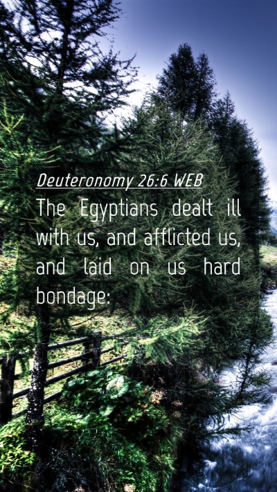 Picture 04 - Deuteronomy 26:6 WEB Mobile Phone Wallpaper - The Egyptians dealt ill with us, and afflicted - Mobile Bible Verse Wallpaper