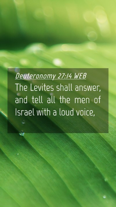 Picture 04 - Deuteronomy 27:14 WEB Mobile Phone Wallpaper - The Levites shall answer, and tell all the men of - Mobile Bible Verse Wallpaper