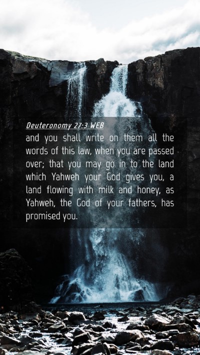Picture 04 - Deuteronomy 27:3 WEB Mobile Phone Wallpaper - and you shall write on them all the words of this - Mobile Bible Verse Wallpaper