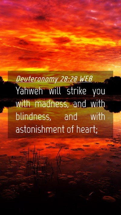 Picture 04 - Deuteronomy 28:28 WEB Mobile Phone Wallpaper - Yahweh will strike you with madness, and with - Mobile Bible Verse Wallpaper