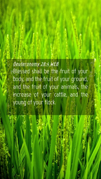 Picture 04 - Deuteronomy 28:4 WEB Mobile Phone Wallpaper - Blessed shall be the fruit of your body, and the - Mobile Bible Verse Wallpaper