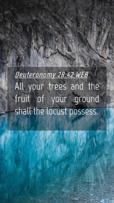 Picture 04 - Deuteronomy 28:42 WEB Mobile Phone Wallpaper - All your trees and the fruit of your ground shall - Mobile Bible Verse Wallpaper