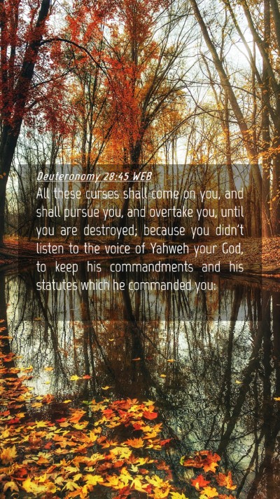 Picture 04 - Deuteronomy 28:45 WEB Mobile Phone Wallpaper - All these curses shall come on you, and shall - Mobile Bible Verse Wallpaper