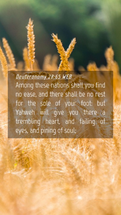 Picture 04 - Deuteronomy 28:65 WEB Mobile Phone Wallpaper - Among these nations shall you find no ease, and - Mobile Bible Verse Wallpaper