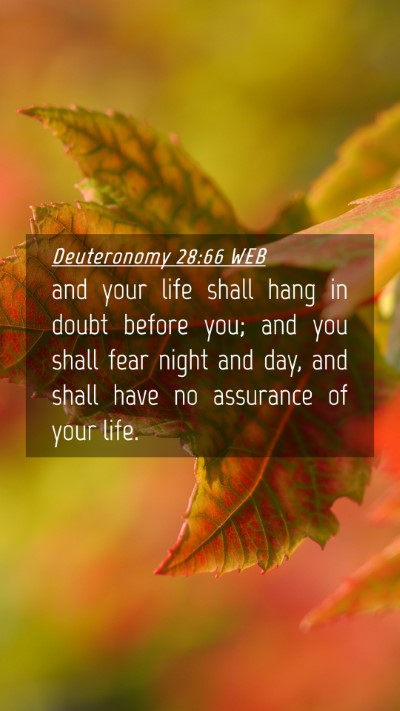 Picture 04 - Deuteronomy 28:66 WEB Mobile Phone Wallpaper - and your life shall hang in doubt before you; and - Mobile Bible Verse Wallpaper
