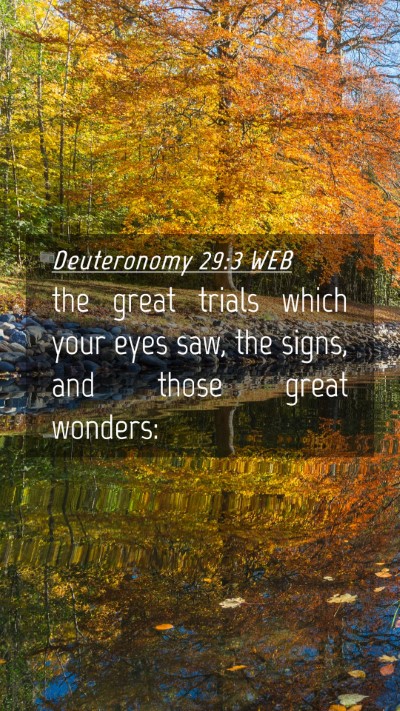 Picture 04 - Deuteronomy 29:3 WEB Mobile Phone Wallpaper - the great trials which your eyes saw, the signs, - Mobile Bible Verse Wallpaper