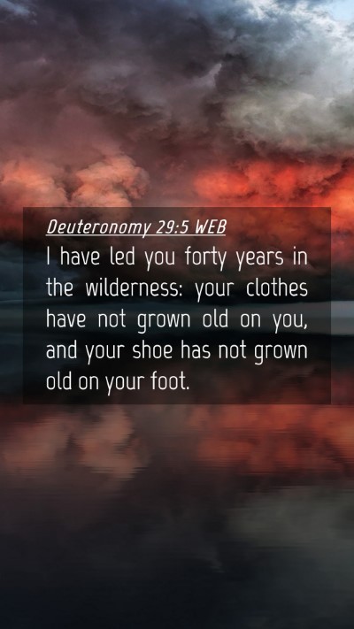 Picture 04 - Deuteronomy 29:5 WEB Mobile Phone Wallpaper - I have led you forty years in the wilderness: - Mobile Bible Verse Wallpaper