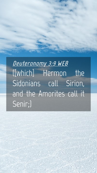 Picture 04 - Deuteronomy 3:9 WEB Mobile Phone Wallpaper - ([which] Hermon the Sidonians call Sirion, and - Mobile Bible Verse Wallpaper