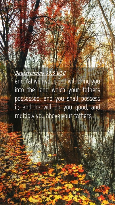 Picture 04 - Deuteronomy 30:5 WEB Mobile Phone Wallpaper - and Yahweh your God will bring you into the land - Mobile Bible Verse Wallpaper