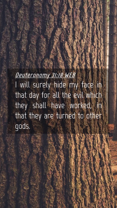 Picture 04 - Deuteronomy 31:18 WEB Mobile Phone Wallpaper - I will surely hide my face in that day for all - Mobile Bible Verse Wallpaper