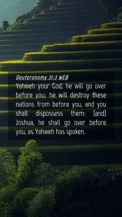 Picture 04 - Deuteronomy 31:3 WEB Mobile Phone Wallpaper - Yahweh your God, he will go over before you; he - Mobile Bible Verse Wallpaper