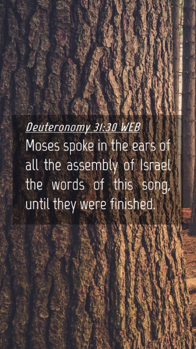Picture 04 - Deuteronomy 31:30 WEB Mobile Phone Wallpaper - Moses spoke in the ears of all the assembly of - Mobile Bible Verse Wallpaper