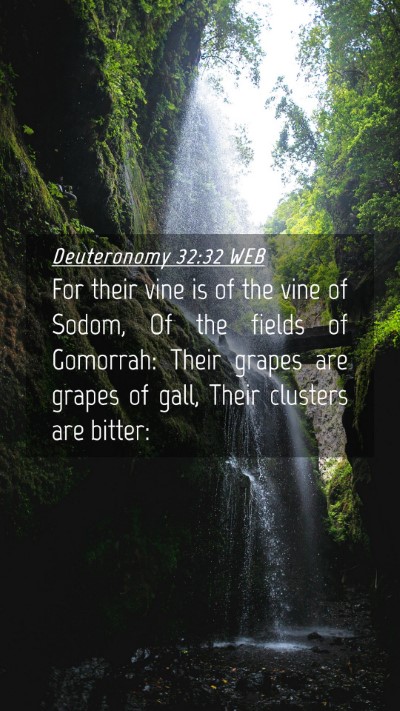 Picture 04 - Deuteronomy 32:32 WEB Mobile Phone Wallpaper - For their vine is of the vine of Sodom, Of the - Mobile Bible Verse Wallpaper