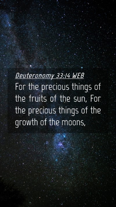 Picture 04 - Deuteronomy 33:14 WEB Mobile Phone Wallpaper - For the precious things of the fruits of the sun, - Mobile Bible Verse Wallpaper