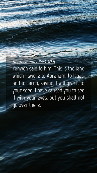Picture 04 - Deuteronomy 34:4 WEB Mobile Phone Wallpaper - Yahweh said to him, This is the land which I - Mobile Bible Verse Wallpaper