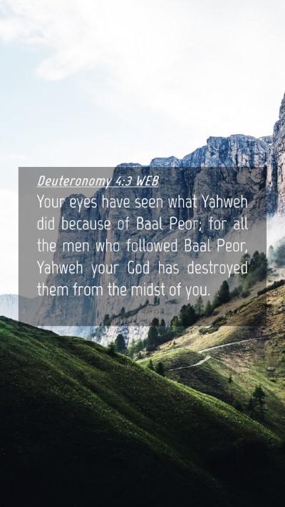 Picture 04 - Deuteronomy 4:3 WEB Mobile Phone Wallpaper - Your eyes have seen what Yahweh did because of - Mobile Bible Verse Wallpaper