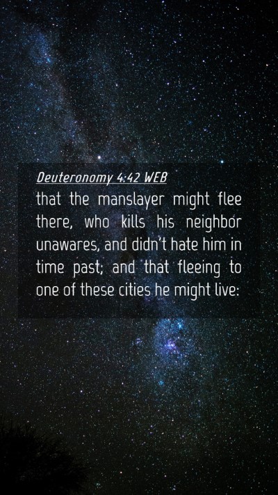 Picture 04 - Deuteronomy 4:42 WEB Mobile Phone Wallpaper - that the manslayer might flee there, who kills - Mobile Bible Verse Wallpaper