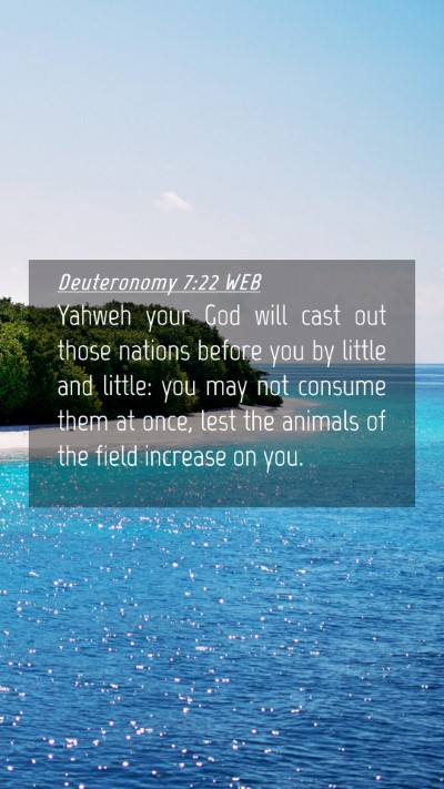 Picture 04 - Deuteronomy 7:22 WEB Mobile Phone Wallpaper - Yahweh your God will cast out those nations - Mobile Bible Verse Wallpaper