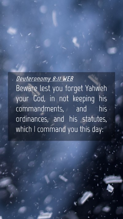 Picture 04 - Deuteronomy 8:11 WEB Mobile Phone Wallpaper - Beware lest you forget Yahweh your God, in not - Mobile Bible Verse Wallpaper