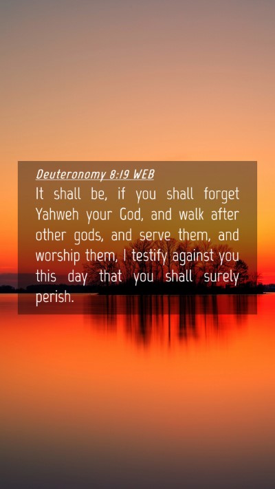 Picture 04 - Deuteronomy 8:19 WEB Mobile Phone Wallpaper - It shall be, if you shall forget Yahweh your God, - Mobile Bible Verse Wallpaper