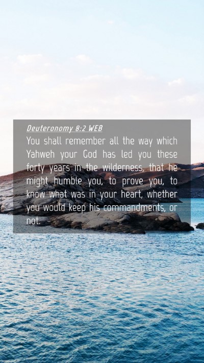 Picture 04 - Deuteronomy 8:2 WEB Mobile Phone Wallpaper - You shall remember all the way which Yahweh your - Mobile Bible Verse Wallpaper