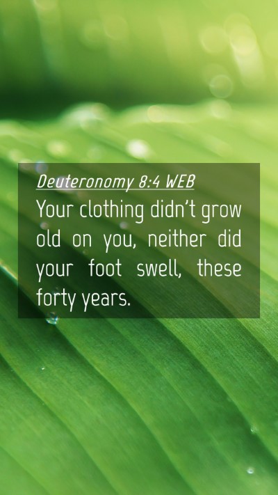 Picture 04 - Deuteronomy 8:4 WEB Mobile Phone Wallpaper - Your clothing didn't grow old on you, neither did - Mobile Bible Verse Wallpaper