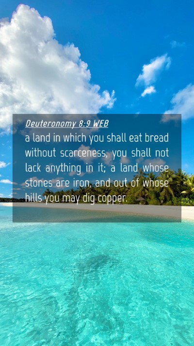 Picture 04 - Deuteronomy 8:9 WEB Mobile Phone Wallpaper - a land in which you shall eat bread without - Mobile Bible Verse Wallpaper