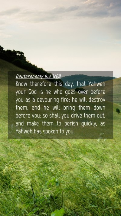 Picture 04 - Deuteronomy 9:3 WEB Mobile Phone Wallpaper - Know therefore this day, that Yahweh your God is - Mobile Bible Verse Wallpaper