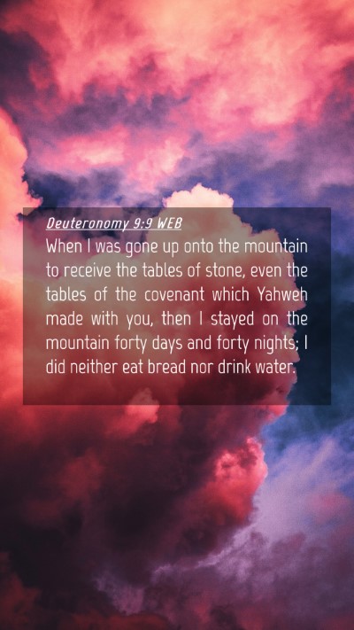 Picture 04 - Deuteronomy 9:9 WEB Mobile Phone Wallpaper - When I was gone up onto the mountain to receive - Mobile Bible Verse Wallpaper